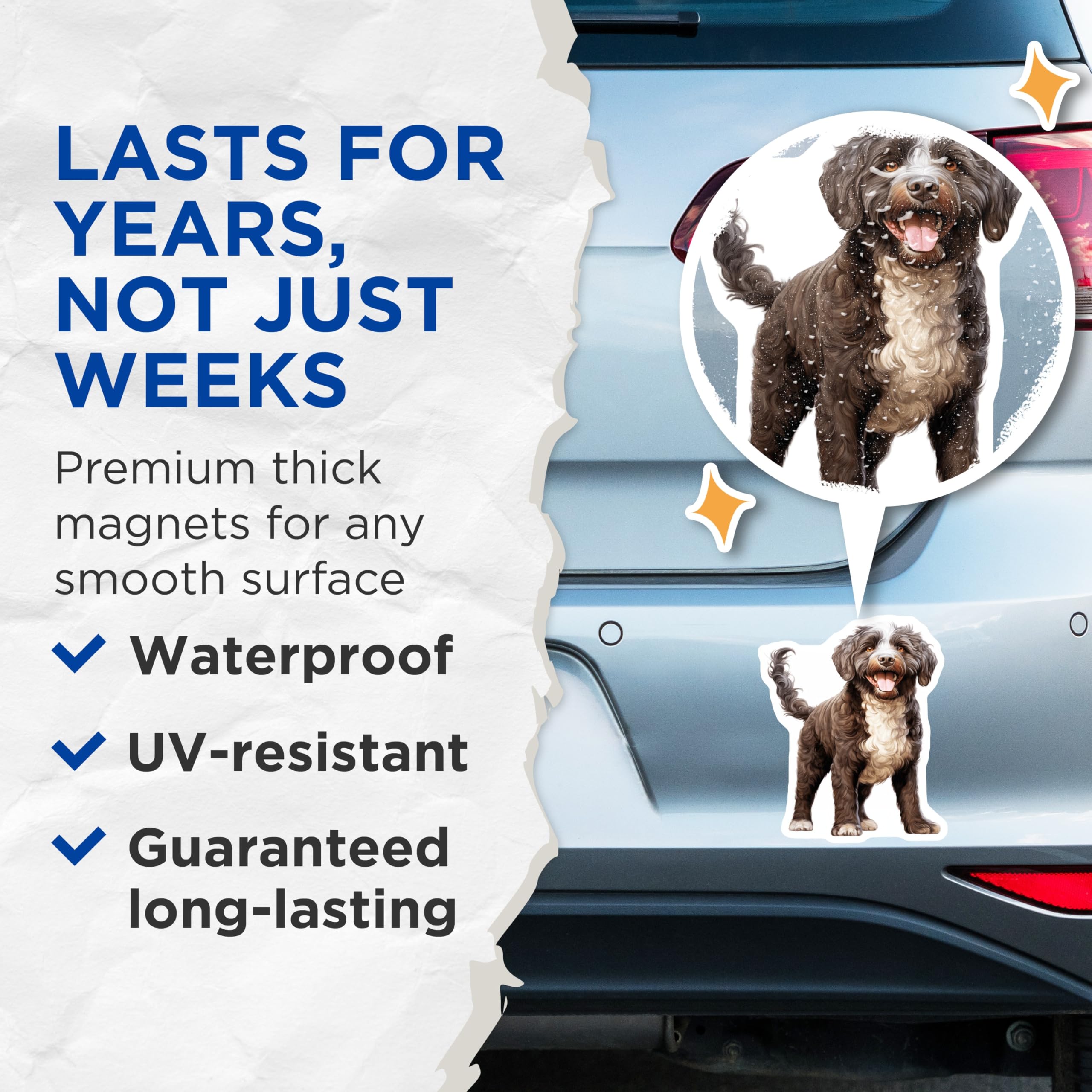 (2 Pack) Portuguese Water Dog Magnets - Curly Brown Dog Lover Decor - Happy Pet Refrigerator Art - 5 Inches On Longest Side - Thick Durable Magnet - Made in USA - MAG29958