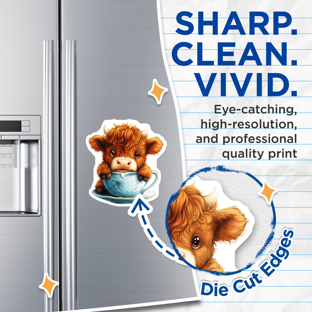 (2 Pack) Cute Highland Cow Magnets - Teacup Animal Decor - Farmhouse Refrigerator Accents - 5 Inches On Longest Side - Thick Durable Magnet - Made in USA - MAG39670
