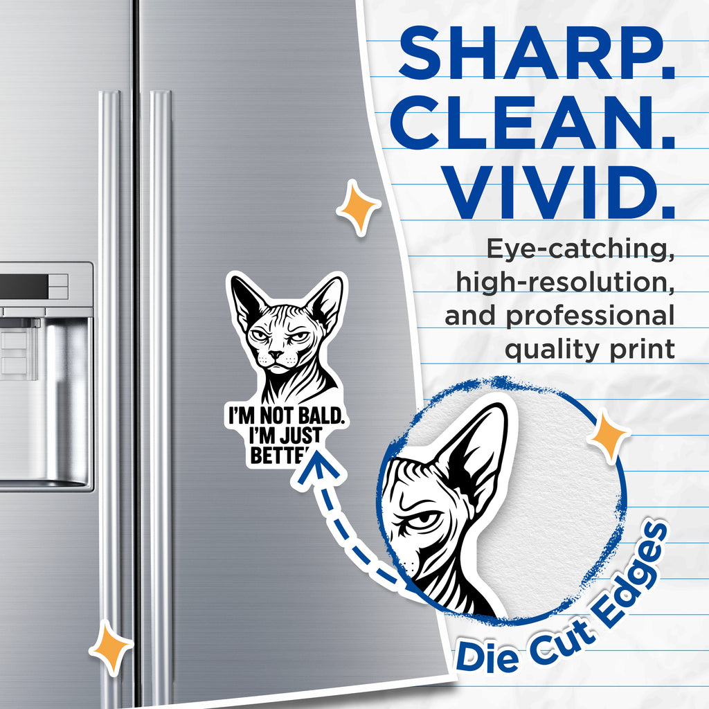 (2 Pack) Sphynx Cat Magnets - Grumpy Cat Humor - Sarcastic Pet Lover Fridge - Funny Bald Cat Lover Kitchen Home Decor - 5 Inches On Longest Side - Thick Durable Magnet - Made in USA - MAG36304
