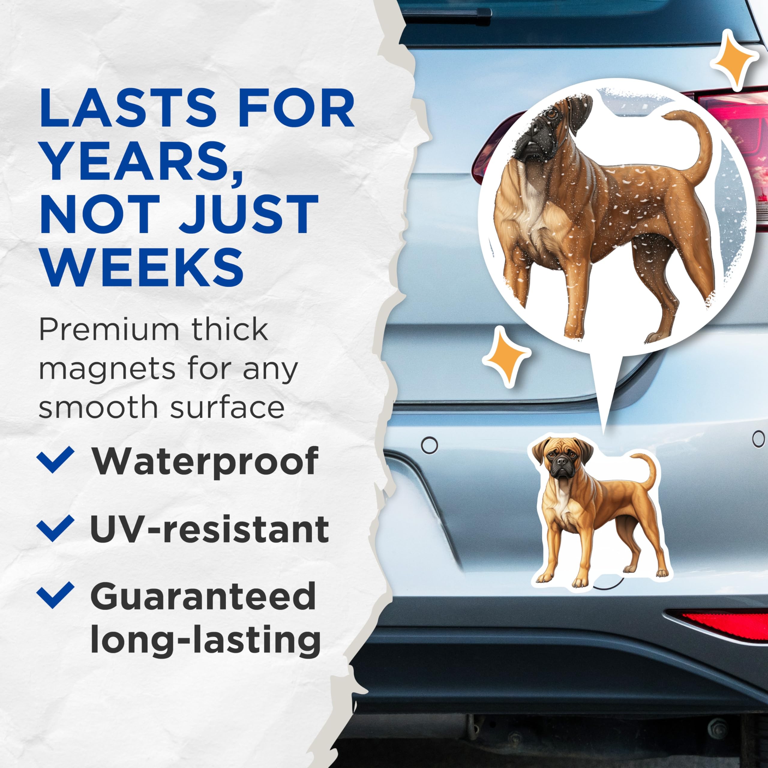 (2 Pack) Boxer Dog Magnets - Pet Owner Refrigerator Decor - Canine Animal Lover Accessory - 5 Inches On Longest Side - Thick Durable Magnet - Made in USA - MAG30660