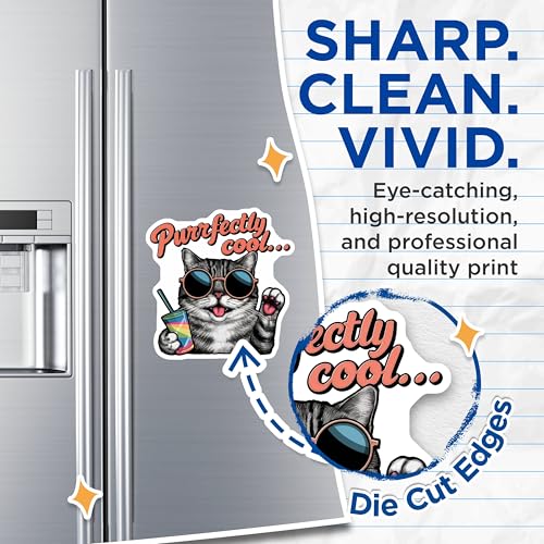 (2 Pack) Cute Cat Magnets Magnets - Purrfectly Cool Cat Design - Animal Lover Decor - 5" On Longest Side - Made in USA - Sticks to Refrigerators & Metal Surfaces - MAG9162