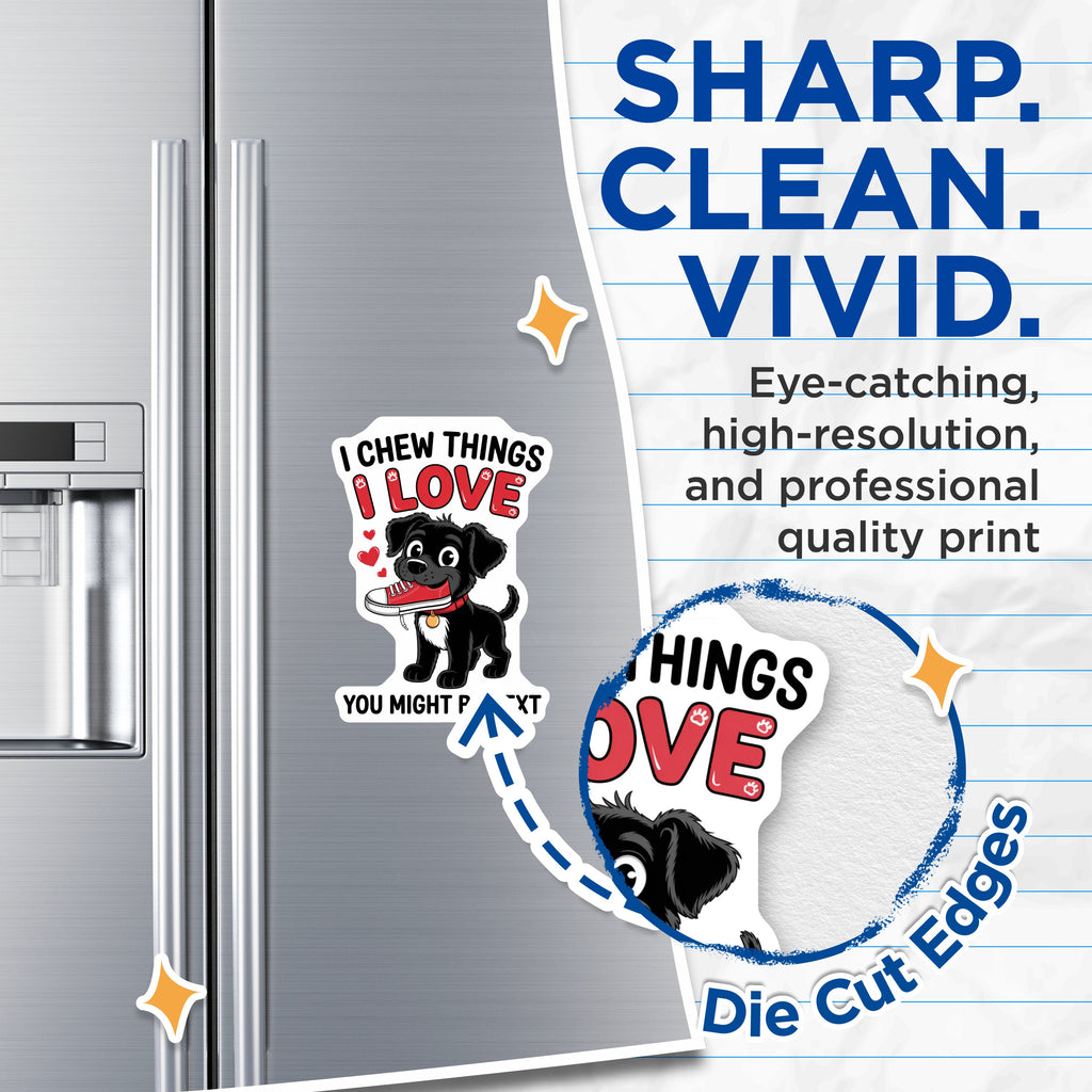 (2 Pack) Funny Dog Magnets - Puppy Chew Toy Sneaker - Pet Lover Humor - Animal Fridge Art for Dog Parents - 5 Inches On Longest Side - Thick Durable Magnet - Made in USA - MAG37371