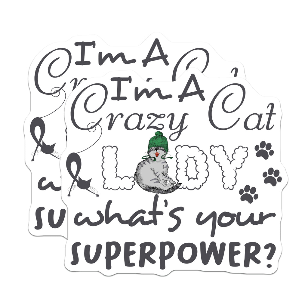 (2 Pack) Crazy Cat Lady Magnets - Funny Cat Lover Fridge Magnet - Pet Mom Superpower Saying - Quirky Kitchen Decor - 5 Inches On Longest Side - Thick Durable Magnet - Made in USA - MAG38863