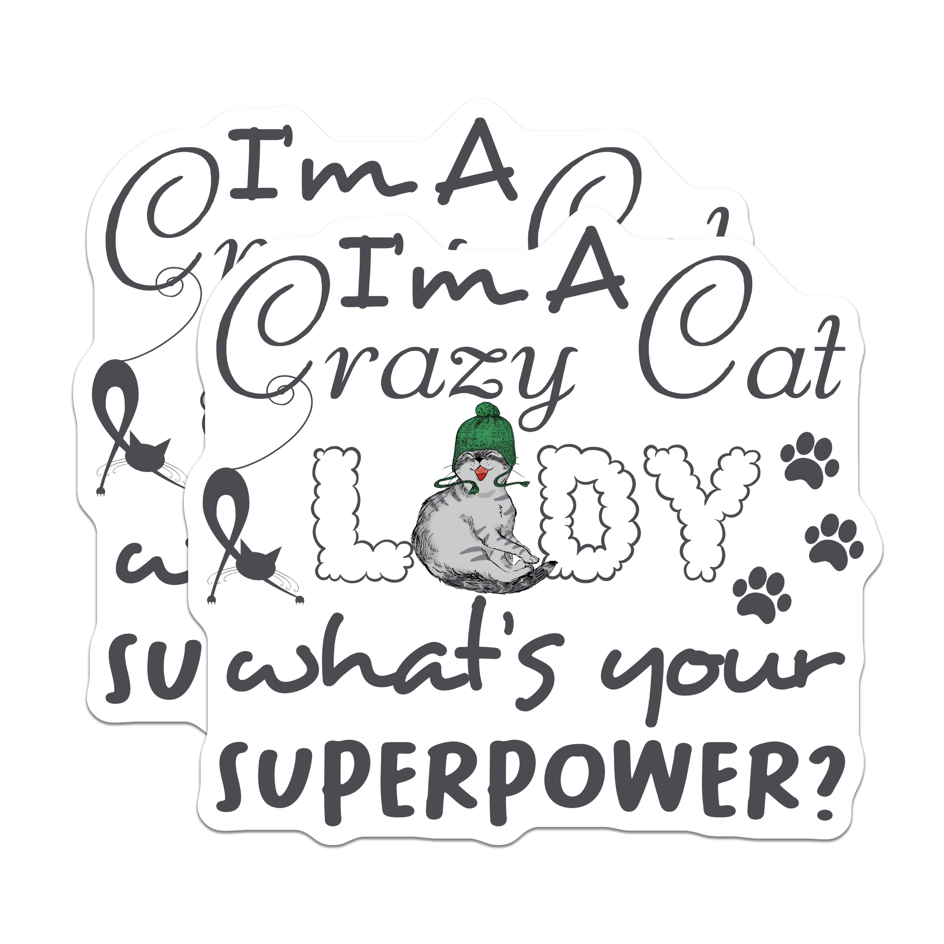 (2 Pack) Crazy Cat Lady Magnets - Funny Cat Lover Fridge Magnet - Pet Mom Superpower Saying - Quirky Kitchen Decor - 5 Inches On Longest Side - Thick Durable Magnet - Made in USA - MAG38863