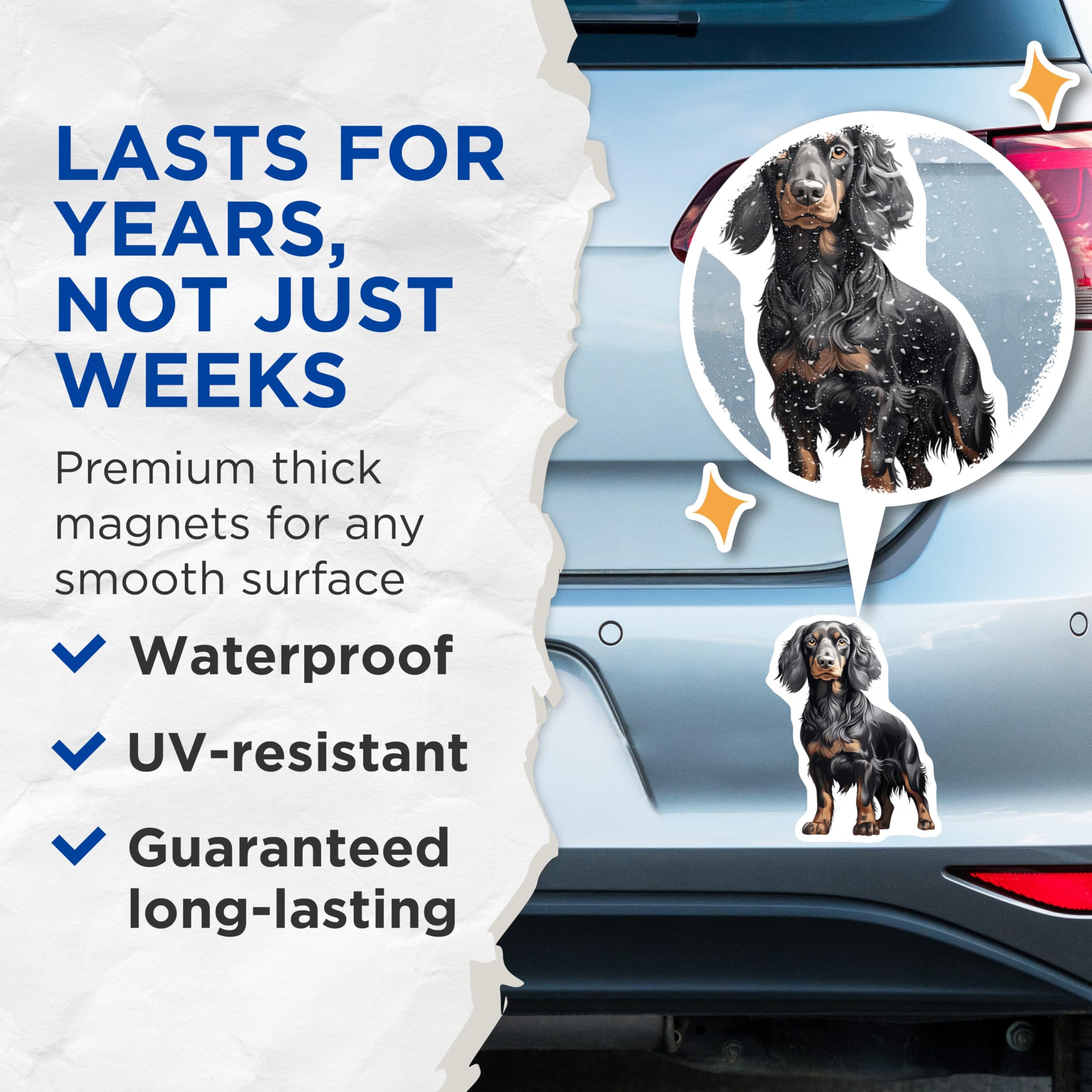 (2 Pack) Black Tan Long Haired Dachshund Magnets - Detailed Dog Art - Pet Lover Fridge Decor - 5 Inches On Longest Side - Thick Durable Magnet - Made in USA - MAG26636