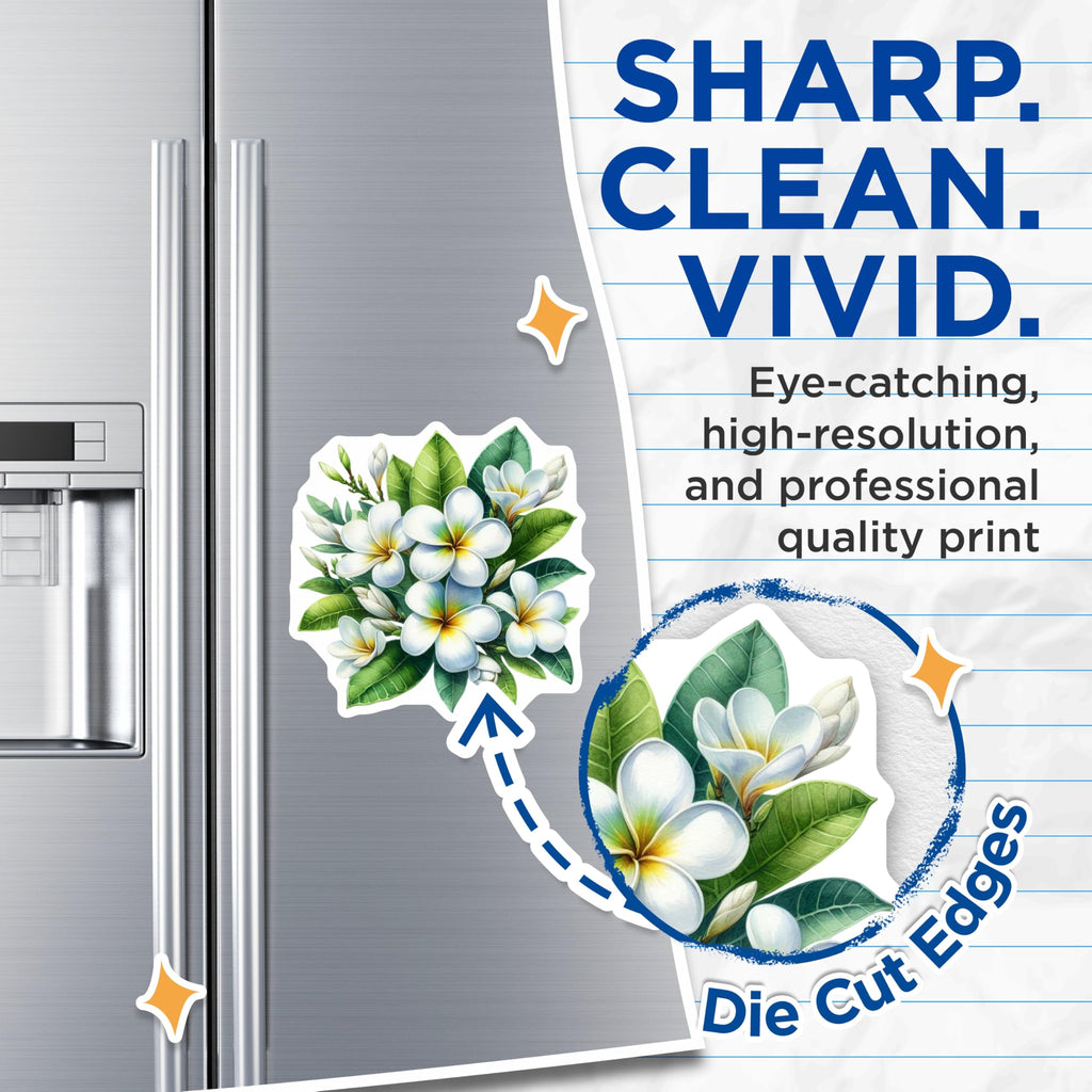 (2 Pack) Plumeria Flower Magnets - Tropical Hawaiian Floral Decor - Elegant Botanical Art - Refrigerator Locker Magnets - 5 Inches On Longest Side - Thick Durable Magnet - Made in USA - MAG23080