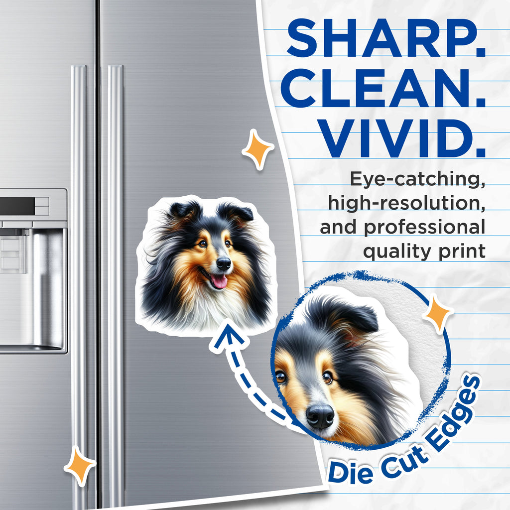 (2 Pack) Shetland Sheepdog Magnets - Collie Breed Art - Dog Mom Accessories - Pet Parent Decor - 5 Inches On Longest Side - Thick Durable Magnet - Made in USA - MAG39618