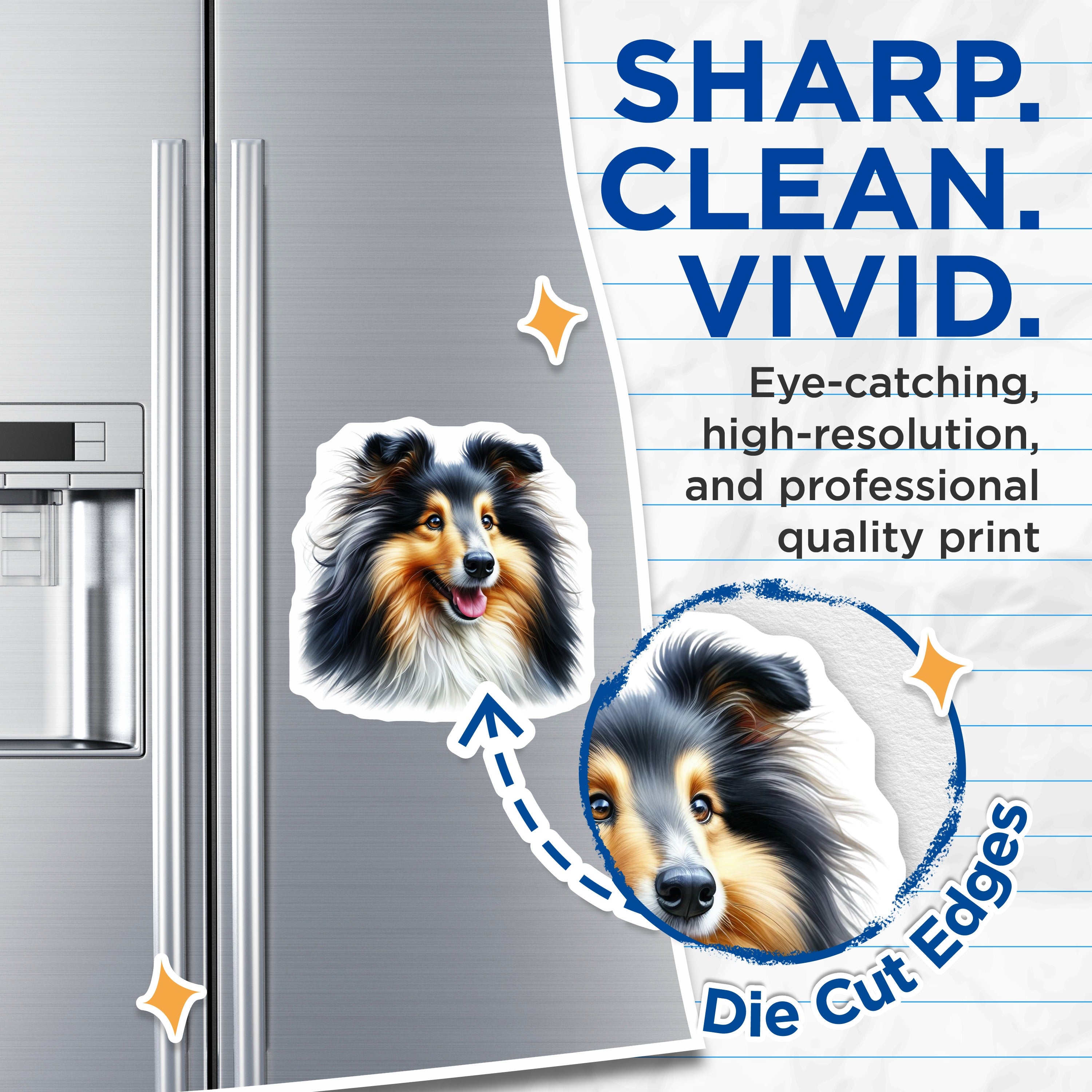 (2 Pack) Shetland Sheepdog Magnets - Collie Breed Art - Dog Mom Accessories - Pet Parent Decor - 5 Inches On Longest Side - Thick Durable Magnet - Made in USA - MAG39618