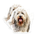 (2 Pack) Shaggy Dog Magnets - Watercolor Animal Art - Dog Lover Decor - 5 Inches On Longest Side - Thick Durable Magnet - Made in USA - MAG24593