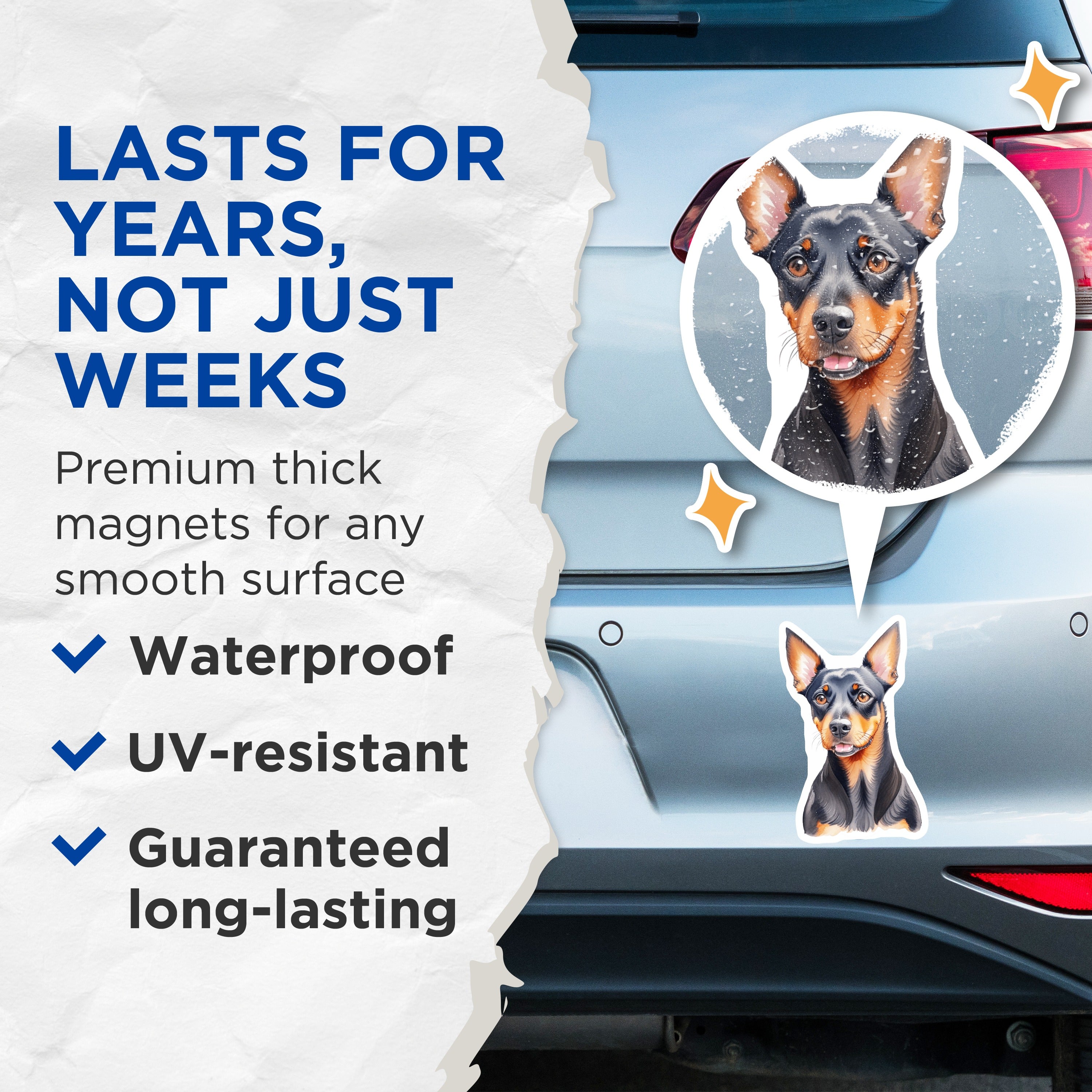(2 Pack) Min Pin Dog Magnets - Watercolor Miniature Pinscher Art - Dog Owner Fridge Kitchen Decor - 5 Inches On Longest Side - Thick Durable Magnet - Made in USA - MAG37615