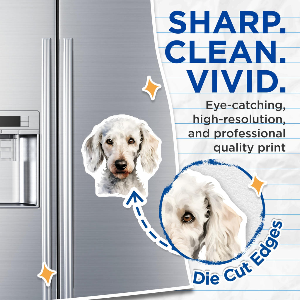 (2 Pack) Goldendoodle Magnets - White Poodle Art - Dog Mom Decor for Fridge - 5 Inches On Longest Side - Thick Durable Magnet - Made in USA - MAG29747