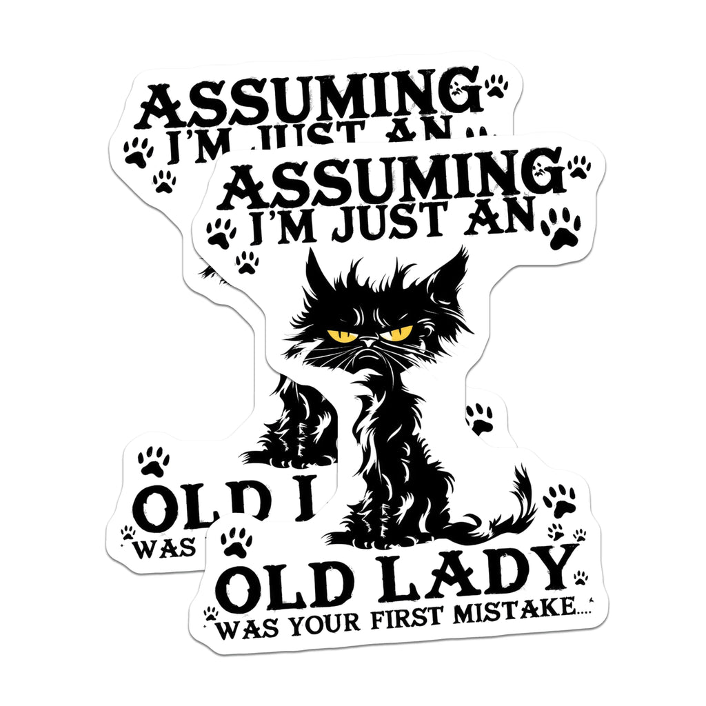 (2 Pack) Black Cat Magnets - Grumpy Cat Saying - Old Lady First Mistake Fridge Magnet - 5" On Longest Side - Premium Magnet - for Cars, Refrigerators, Toolboxes, Lockers - Made in USA - MAG14942