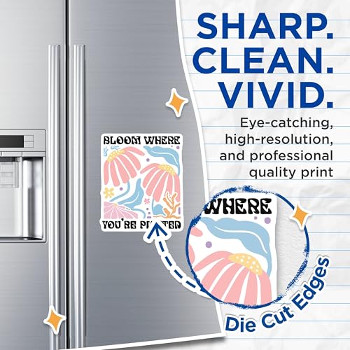 (2 Pack) Bloom Where You're Planted Magnets - Motivational Floral Magnets - Inspirational Quote Refrigerator Magnets - 5" On Longest Side - for Cars, Fridges, Toolboxes - Made in USA - MAG3834