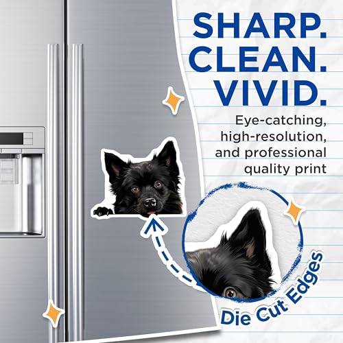 (2 Pack) Pet Lover Magnet - Animal Art - 5" On Longest Side - Sticks to Smooth Flat Surfaces - Made in USA - MAG10270