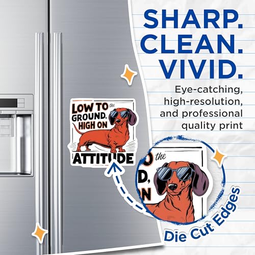 (2 Pack) Dachshund Dog Magnets Magnets - Cartoon Dog Illustration - 5" On Longest Side - Made in USA - Sticks to Refrigerators & Metal Surfaces - MAG8531