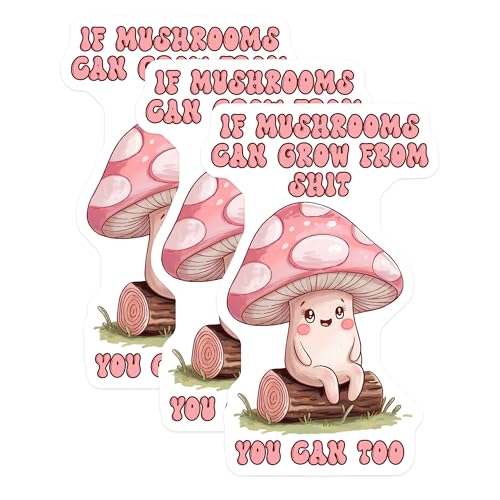 (3 Pack) Mushroom Decals - Motivational Quote Stickers - Laptop Decals - Positive Affirmation - 3 Inches On Longest Side - Easy Peel & Apply - Made in USA - 3MCS2084