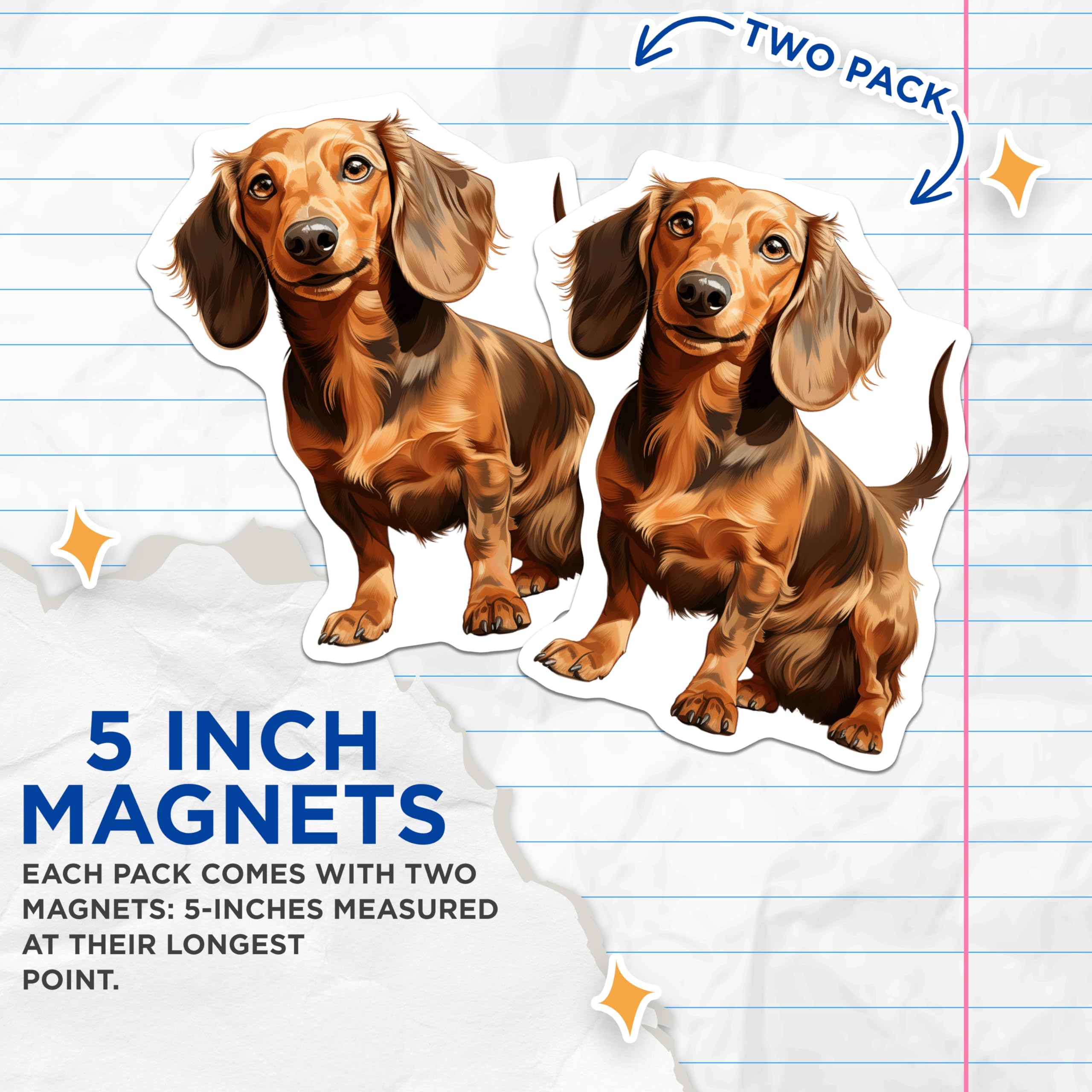 (2 Pack) Long Haired Dachshund Magnets - Cute Sausage Dog Art - Pet Lover Refrigerator Decor - 5 Inches On Longest Side - Thick Durable Magnet - Made in USA - MAG26437