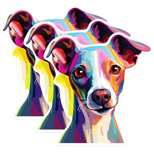 (3 Pack) Italian Greyhound Decals - Colorful Dog Decal - Laptop Decals - 3 Inches On Longest Side - Easy Peel & Apply - Made in USA - 3MCS0756