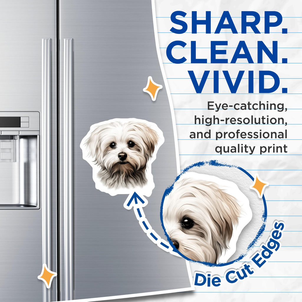(2 Pack) Maltese Dog Magnets - Fluffy White Puppy Art - Dog Lover Kitchen Decor - 5 Inches On Longest Side - Thick Durable Magnet - Made in USA - MAG24428