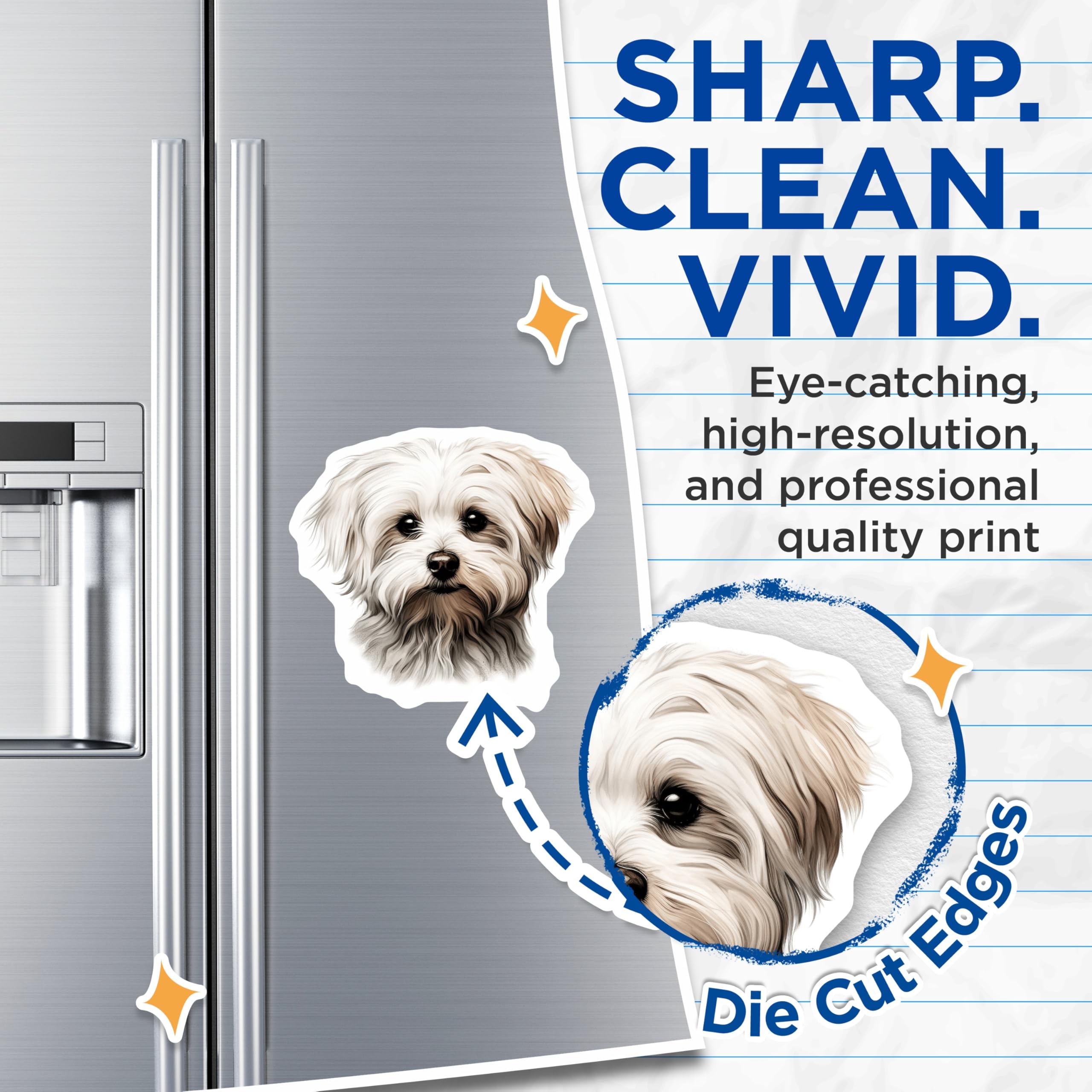 (2 Pack) Maltese Dog Magnets - Fluffy White Puppy Art - Dog Lover Kitchen Decor - 5 Inches On Longest Side - Thick Durable Magnet - Made in USA - MAG24428