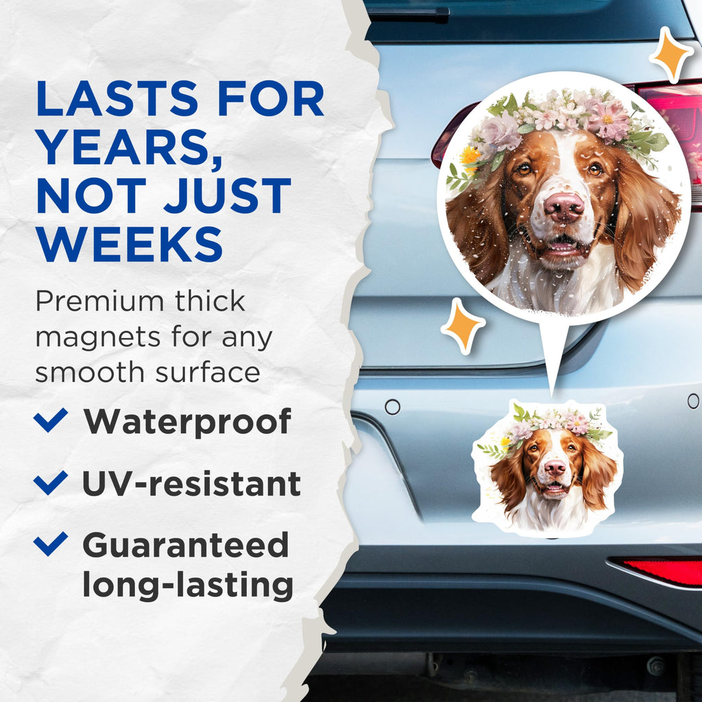 (2 Pack) Springer Spaniel Magnets - Floral Dog Decor - Dog Mom Refrigerator Locker Art - 5 Inches On Longest Side - Thick Durable Magnet - Made in USA - MAG30391