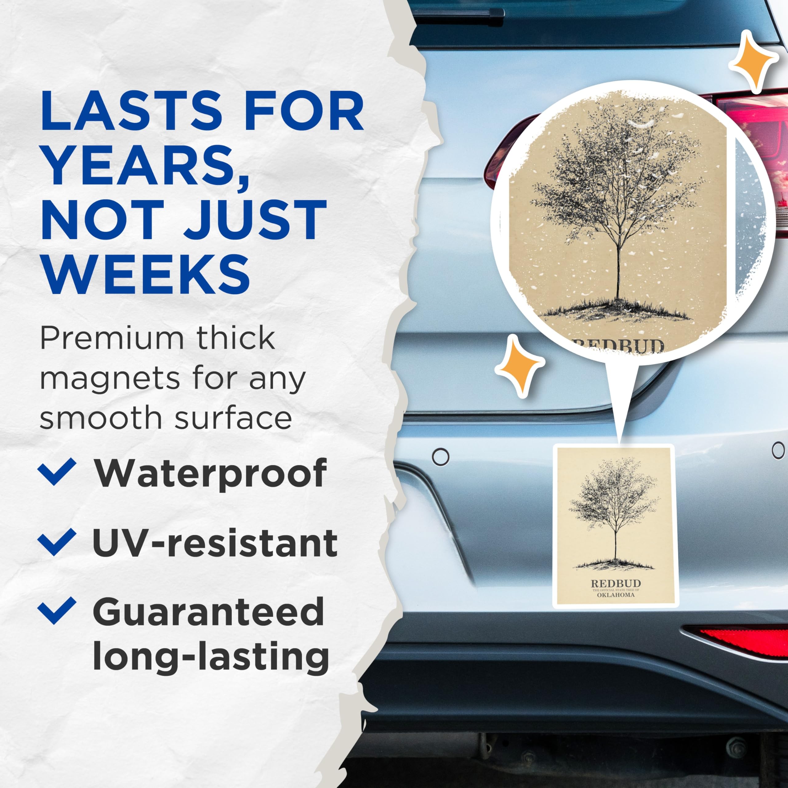 (2 Pack) Redbud Tree Magnets - Oklahoma State Tree - Botanical Art Decor - 5" On Longest Side - Premium Magnet - for Cars, Refrigerators, Toolboxes, Lockers - Made in USA - MAG18894