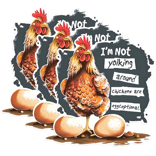 (3 Pack) Chicken Decals - Funny Egg Puns - Chicken Lover Laptop Decal - 3 Inches On Longest Side - Easy Peel & Apply - Made in USA - 3MCS1459