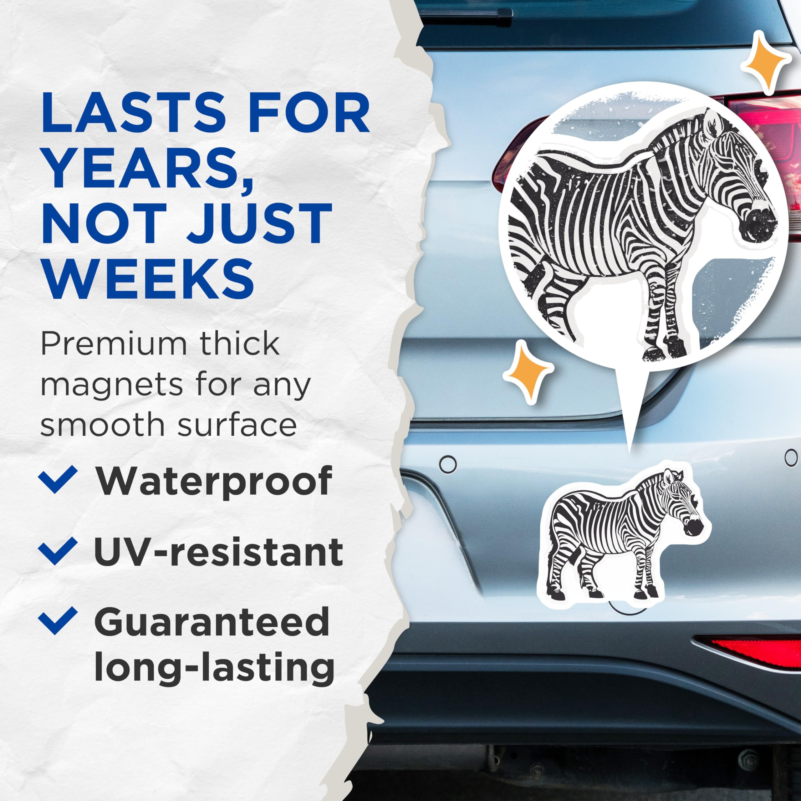 (2 Pack) Zebra Magnets - Safari Animal Decor - Black White Wildlife Art - 5 Inches On Longest Side - Thick Durable Magnet - Made in USA - MAG22044