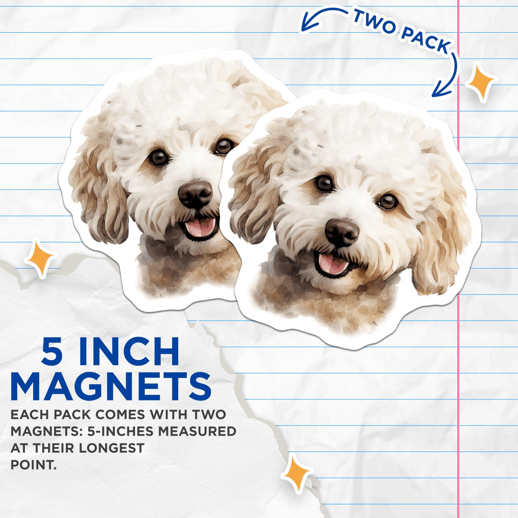 (2 Pack) Adorable Poodle Dog Magnets - Smiling Watercolor Puppy Art - Pet Lover Refrigerator Display - Kennel Accessory - 5 Inches On Longest Side - Thick Durable Magnet - Made in USA - MAG23646