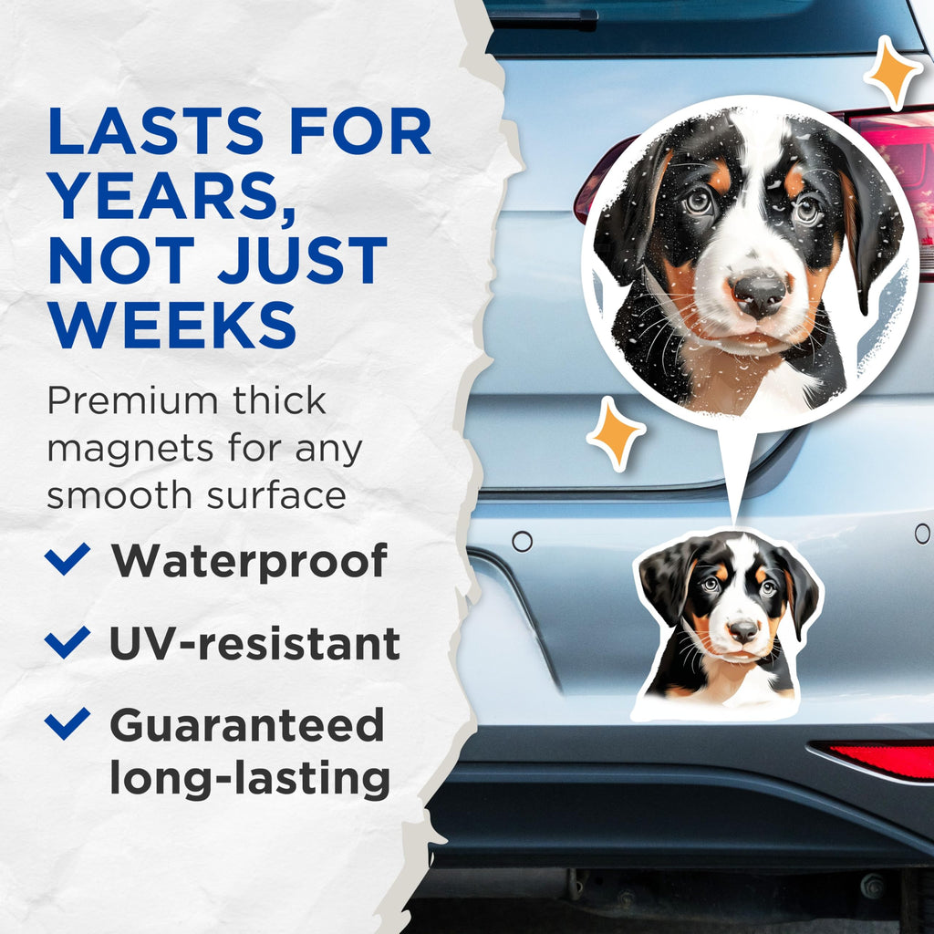 (2 Pack) Bernese Mountain Dog Puppy Magnets - Adorable Pet Lover Home Decor - Cute Dog Breed Refrigerator Art - 5 Inches On Longest Side - Thick Durable Magnet - Made in USA - MAG23923