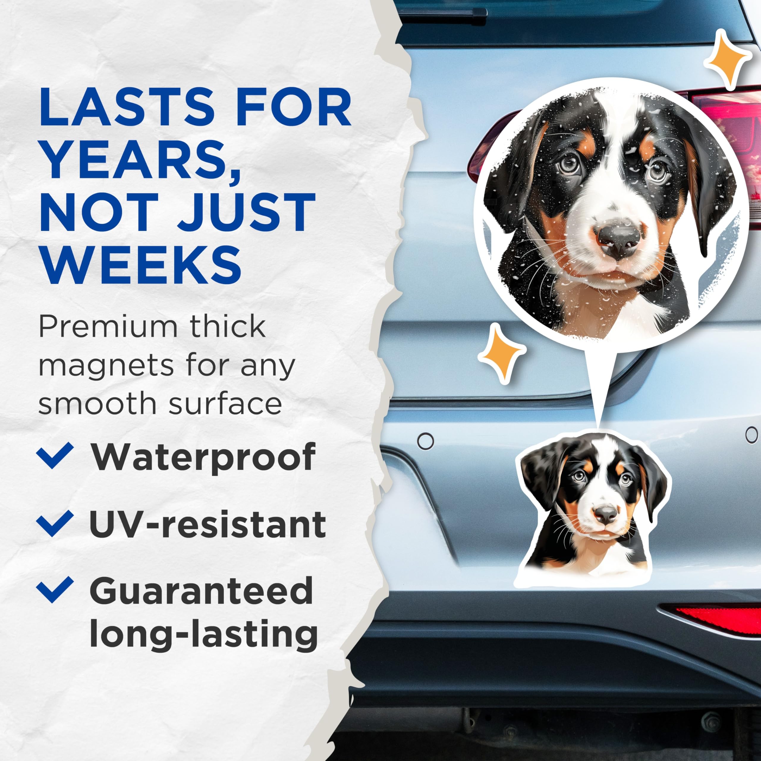 (2 Pack) Bernese Mountain Dog Puppy Magnets - Adorable Pet Lover Home Decor - Cute Dog Breed Refrigerator Art - 5 Inches On Longest Side - Thick Durable Magnet - Made in USA - MAG23923