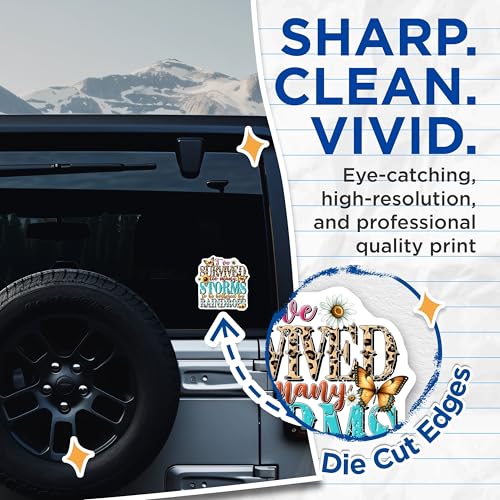 (2 Pack) Survived Too Many Storms Stickers - Inspirational Quote Stickers - Weather Resilience Stickers - 5" On Longest Side - Sticks to Any Smooth Flat Surface - Made in USA - BMCS3223