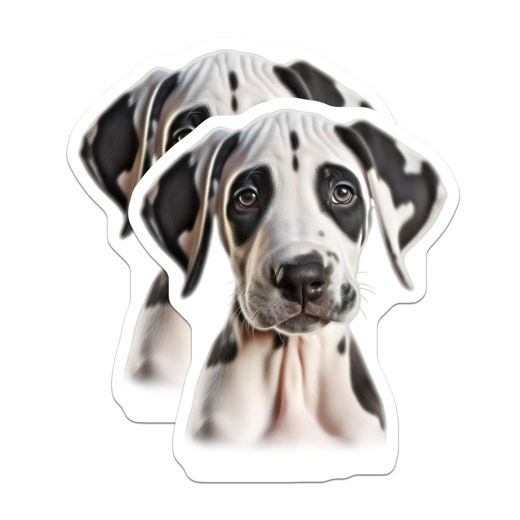 (2 Pack) Great Dane Puppy Magnets - Cute Dog Lover Decor - Pet Parent Refrigerator Accent - 5 Inches On Longest Side - Thick Durable Magnet - Made in USA - MAG28665