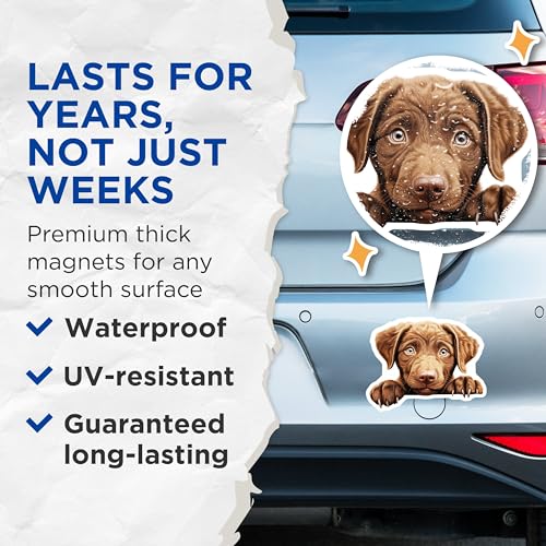 (2 Pack) Dog Lover Decor Magnet - 5" On Longest Side - Sticks to Smooth Flat Surfaces - Made in USA - MAG9928