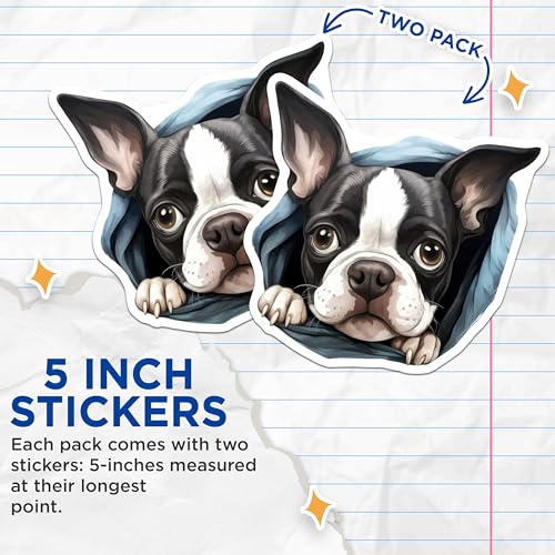 (2 Pack) Cute Dog Stickers - Boston Terrier Sticker - Dog Lover Gift Stickers - 5" On Longest Side - Sticks to Smooth Flat Surfaces - Made in USA - BMCS9884