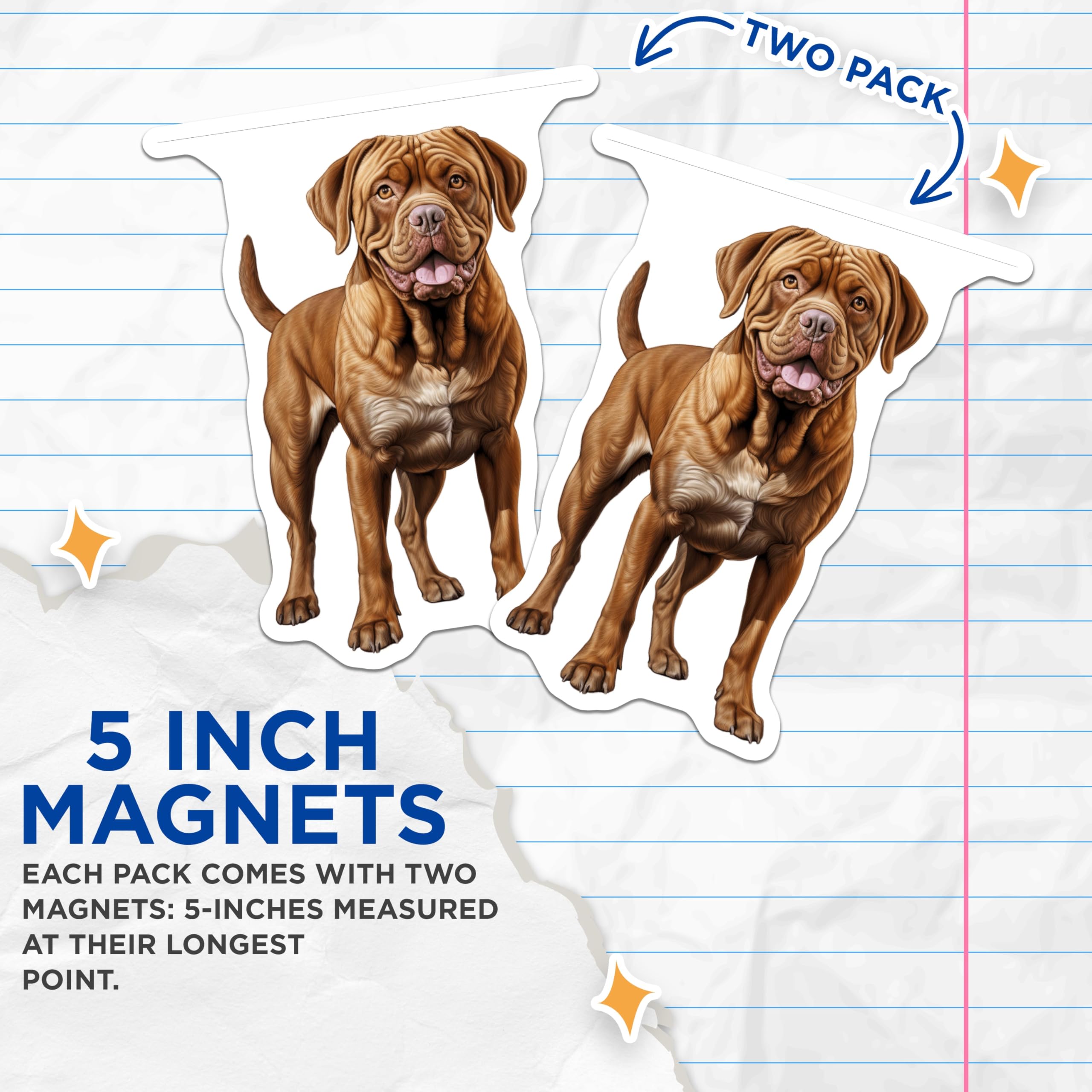 (2 Pack) Dogue de Bordeaux Dog Magnets - French Mastiff Owner Decor - Large Breed Animal Art - 5 Inches On Longest Side - Thick Durable Magnet - Made in USA - MAG30965