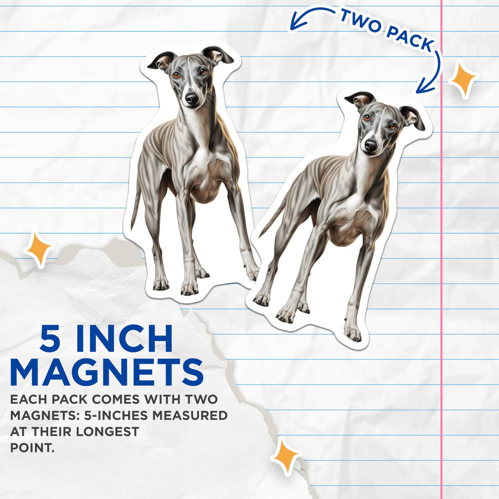 (2 Pack) Whippet Dog Magnets - Realistic Brindle Sighthound Art - Dog Mom Fridge Decor - Pet Parent Locker Magnet - 5 Inches On Longest Side - Thick Durable Magnet - Made in USA - MAG26034