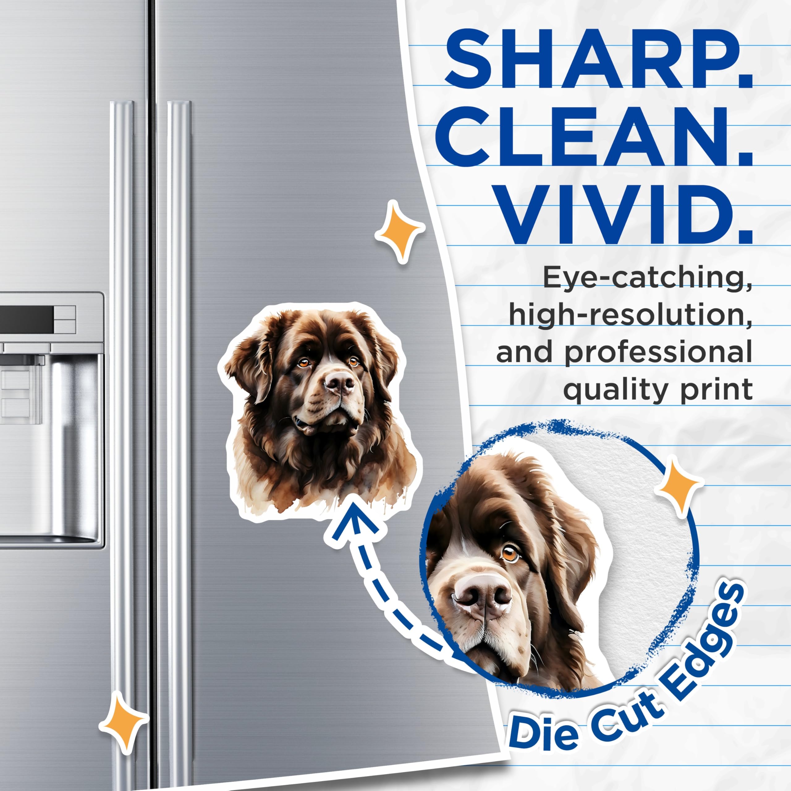 (2 Pack) Newfoundland Dog Magnets - Brown Newfie Portrait - Fridge Magnets - 5" On Longest Side - Premium Magnet - for Cars, Refrigerators, Toolboxes, Lockers - Made in USA - MAG16183