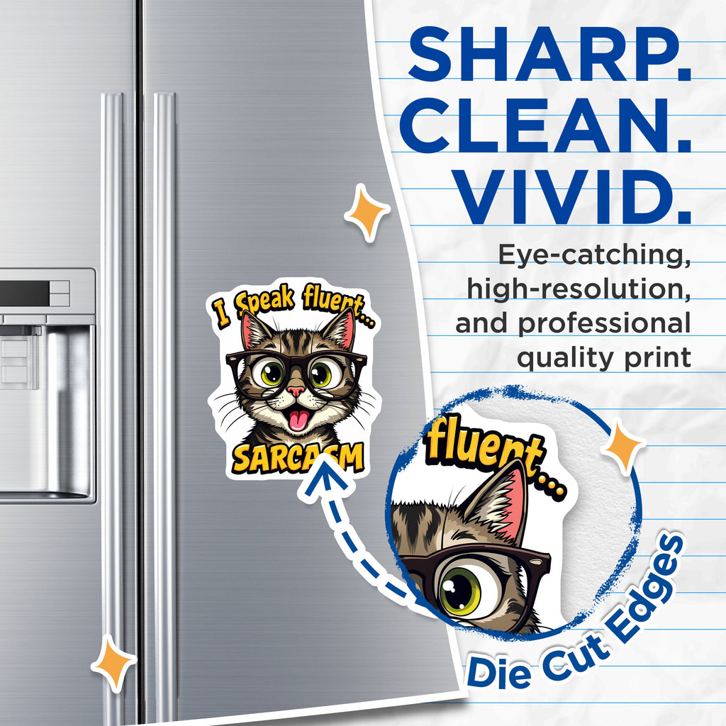 (2 Pack) Sarcastic Cat Quote Magnets - Funny Humor Fridge Magnets - Witty Pet Lover Locker Decor - 5 Inches On Longest Side - Thick Durable Magnet - Made in USA - MAG39248