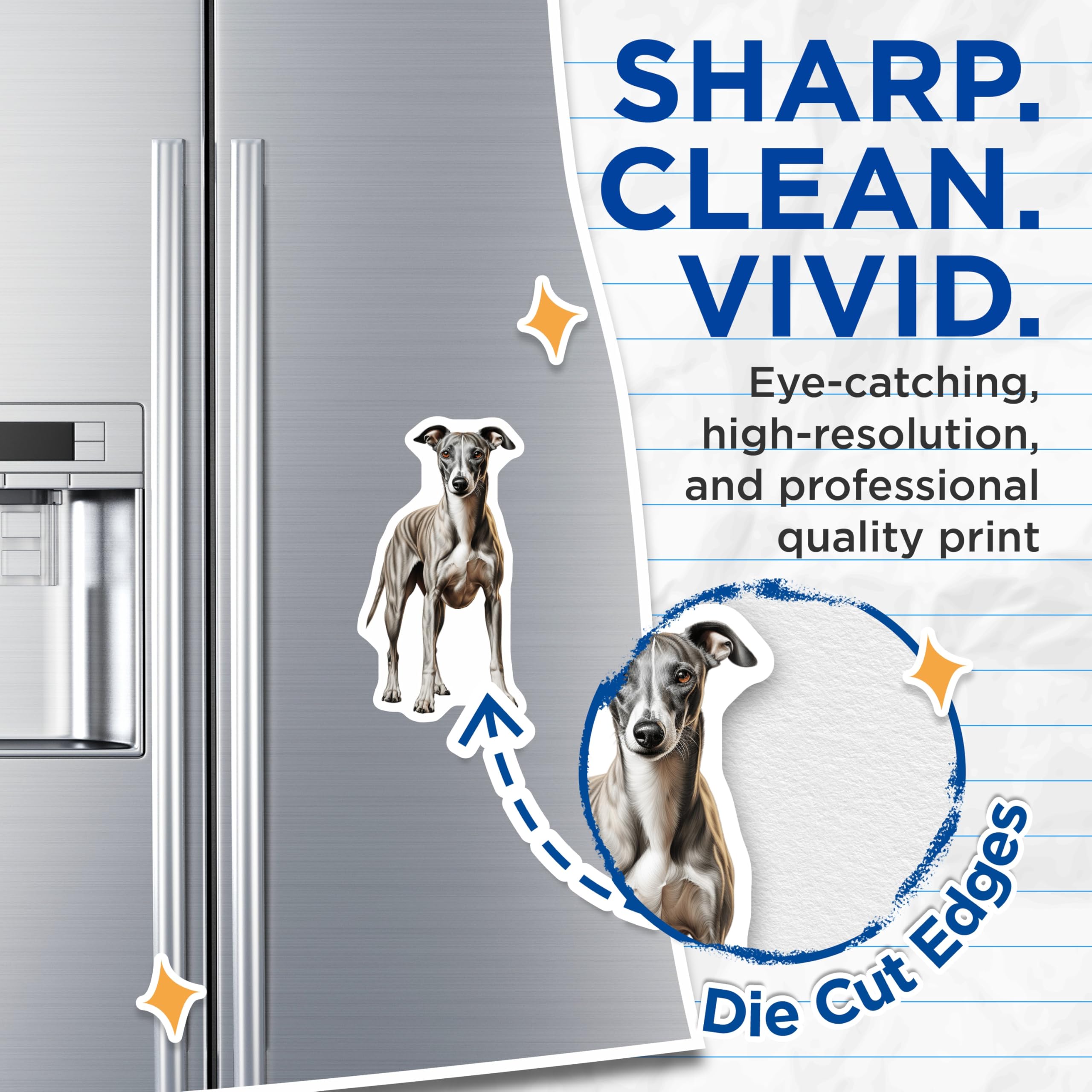 (2 Pack) Whippet Dog Magnets - Realistic Brindle Sighthound Art - Dog Mom Fridge Decor - Pet Parent Locker Magnet - 5 Inches On Longest Side - Thick Durable Magnet - Made in USA - MAG26034
