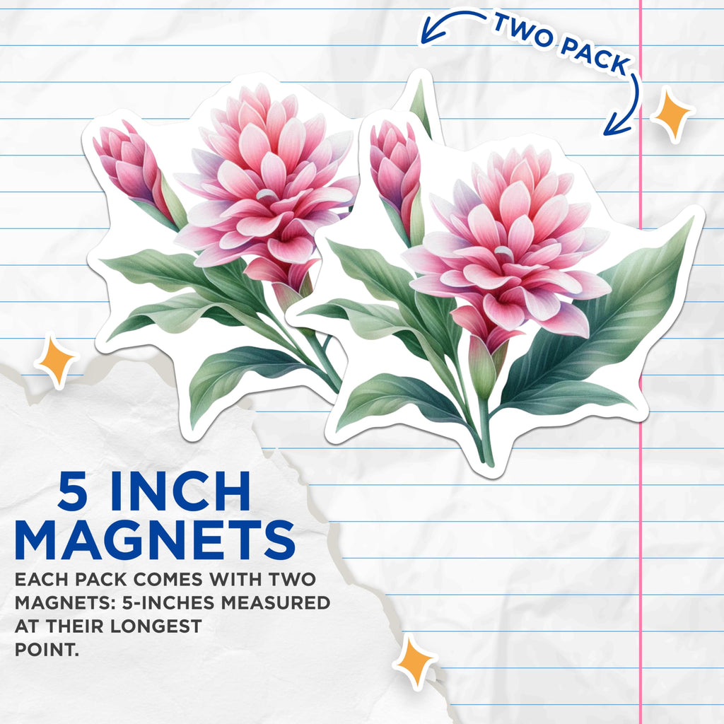 (2 Pack) Tropical Flower Magnets - Pink Ginger Lilies Bloom - Exotic Botanical Art - Vibrant Floral Plant Refrigerator Decor - 5 Inches On Longest Side - Thick Durable Magnet - Made in USA - MAG21443