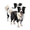 (2 Pack) Border Collie Magnets - Dog Lover Fridge Decor - Pet Owner Car Accessory - Canine Art Collector Item - 5 Inches On Longest Side - Thick Durable Magnet - Made in USA - MAG28560