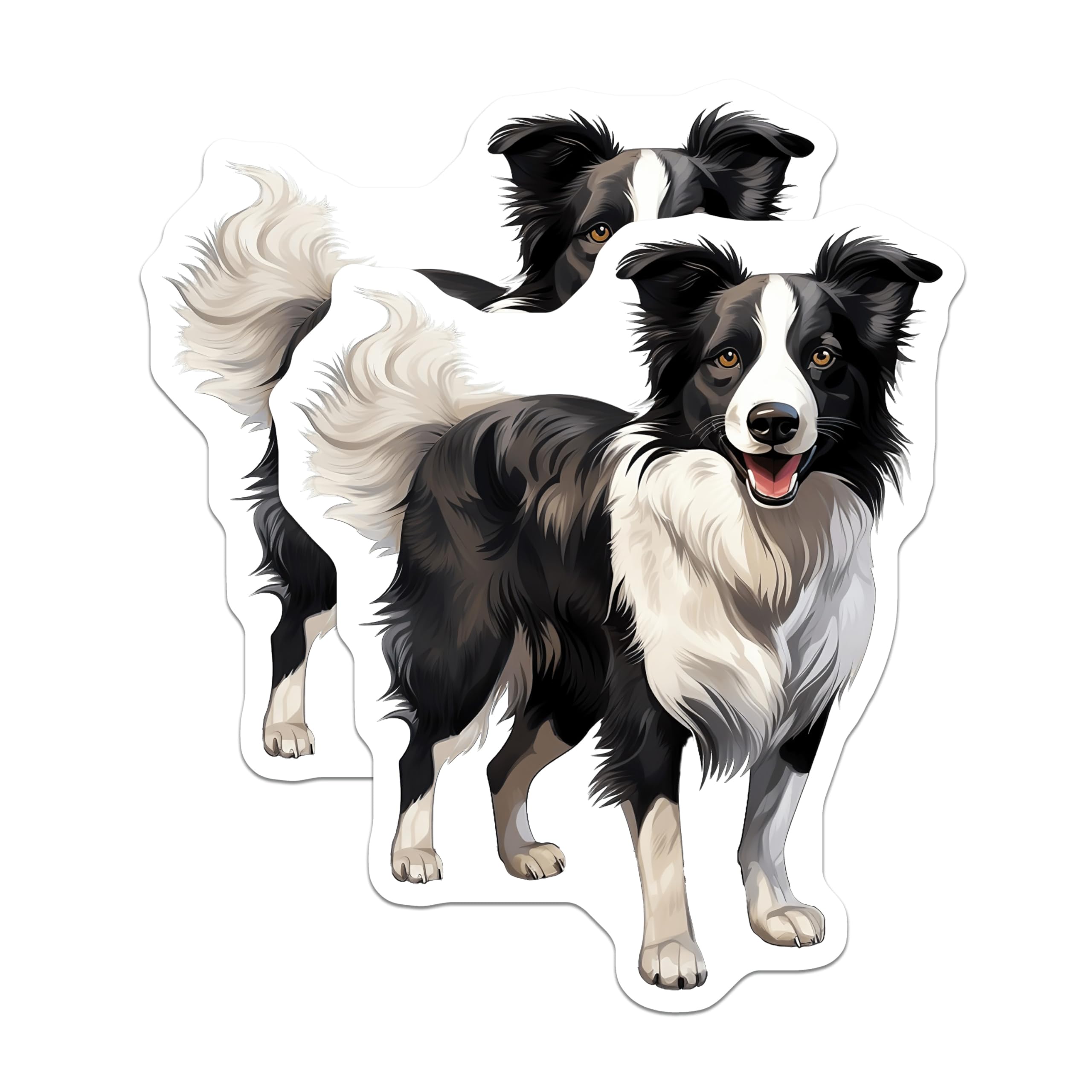 (2 Pack) Border Collie Magnets - Dog Lover Fridge Decor - Pet Owner Car Accessory - Canine Art Collector Item - 5 Inches On Longest Side - Thick Durable Magnet - Made in USA - MAG28560