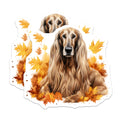 (2 Pack) Afghan Hound Magnets - Elegant Fall Dog Art - Autumn Leaves Pet Lover Refrigerator Decor - 5 Inches On Longest Side - Thick Durable Magnet - Made in USA - MAG23986