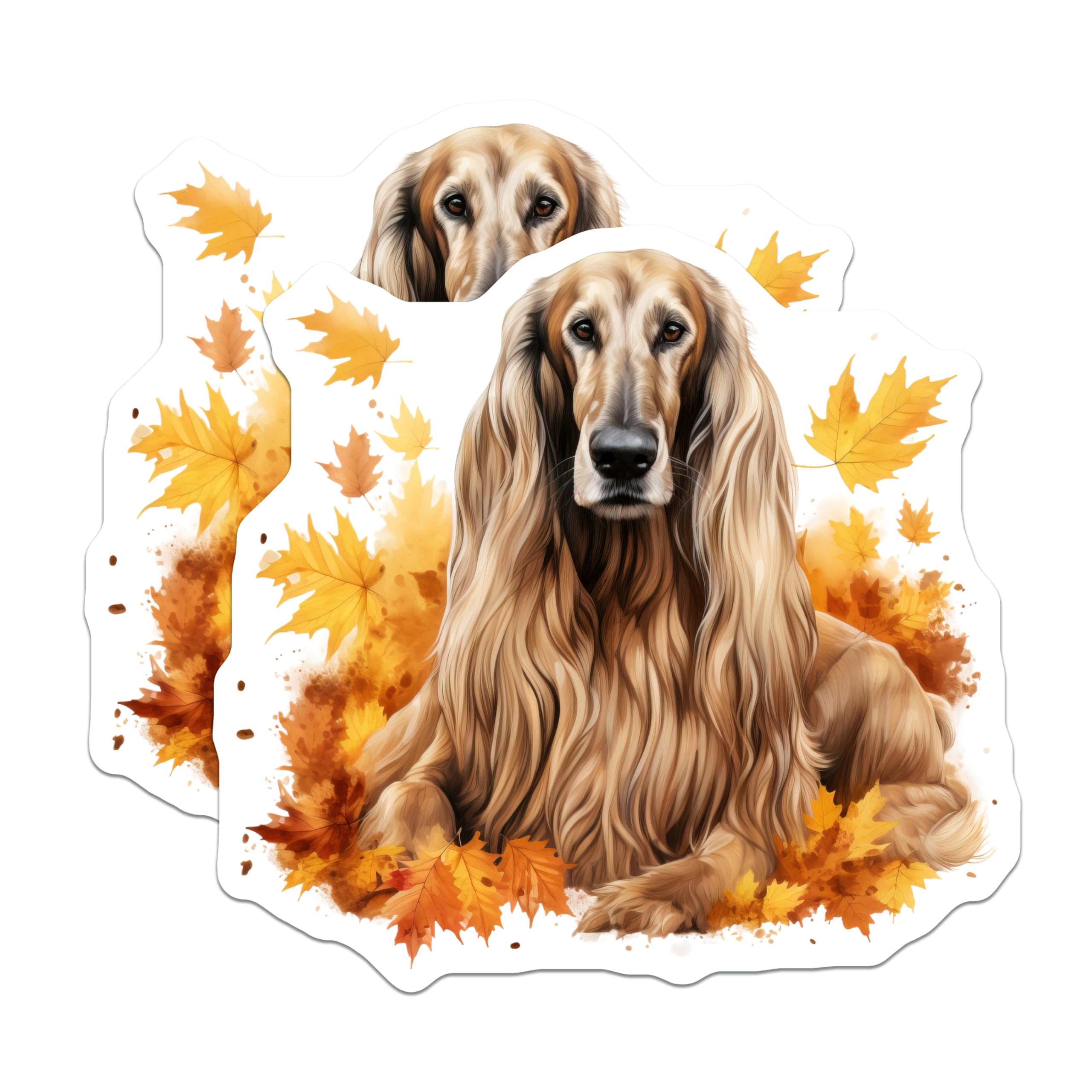 (2 Pack) Afghan Hound Magnets - Elegant Fall Dog Art - Autumn Leaves Pet Lover Refrigerator Decor - 5 Inches On Longest Side - Thick Durable Magnet - Made in USA - MAG23986