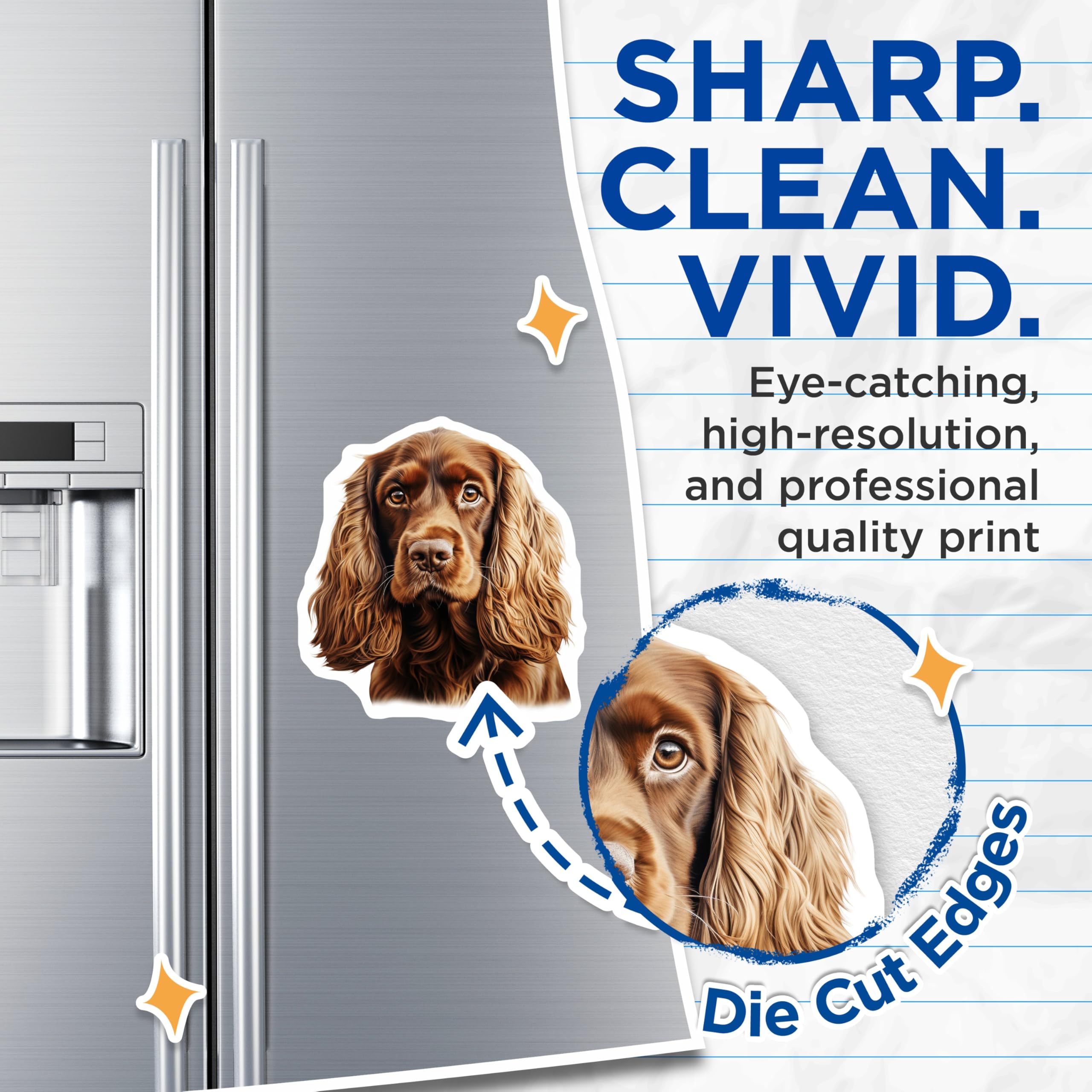 (2 Pack) Cocker Spaniel Magnets - Dog Lover Decor - Pet Parent Souvenir - 5 Inches On Longest Side - Thick Durable Magnet - Made in USA - MAG30059