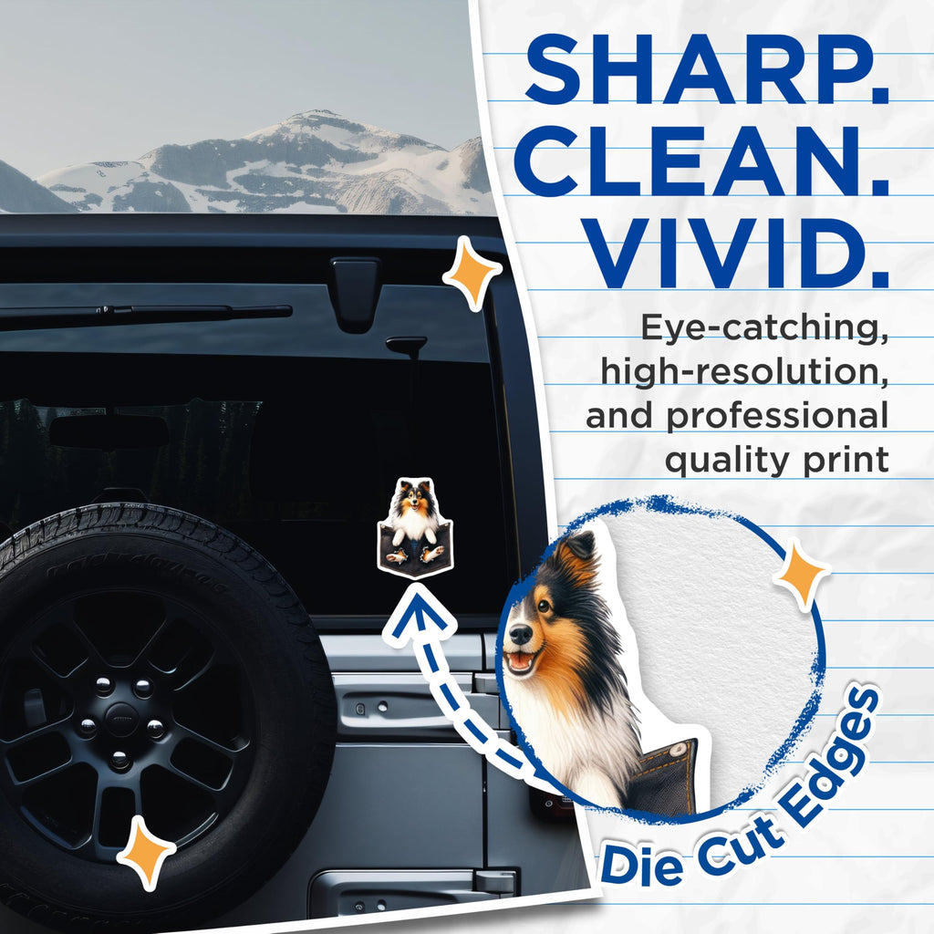 (2 Pack) Cute Sheltie Dog Stickers - Sheltie Art - Cute Dog Lover Decals - - 5" On Longest Side - Sticks to Smooth Flat Surfaces - Made in USA - BMCS4400