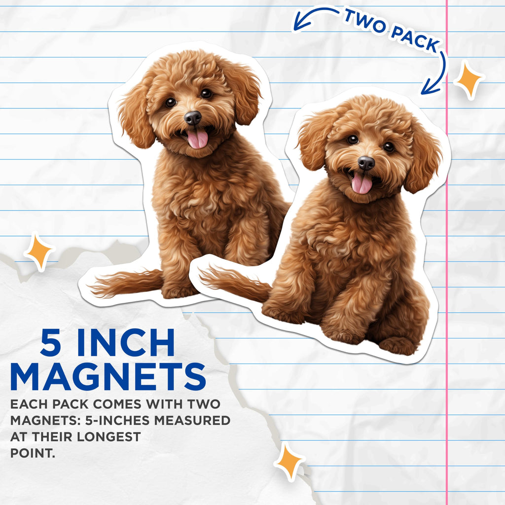 (2 Pack) Cute Goldendoodle Magnets - Labradoodle Dog Decor - Poodle Puppy Fridge Magnets - 5 Inches On Longest Side - Thick Durable Magnet - Made in USA - MAG25180
