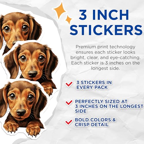 (3 Pack) Dachshund Puppy Decals - Cute Dog - Laptop Decal - 3 Inches On Longest Side - Easy Peel & Apply - Made in USA - 3MCS8711