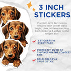 (3 Pack) Dachshund Puppy Decals - Cute Dog - Laptop Decal - 3 Inches On Longest Side - Easy Peel & Apply - Made in USA - 3MCS8711